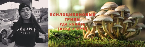 мет Арсеньев