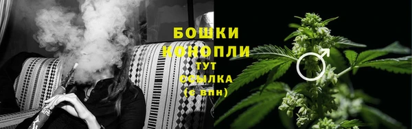 мет Арсеньев